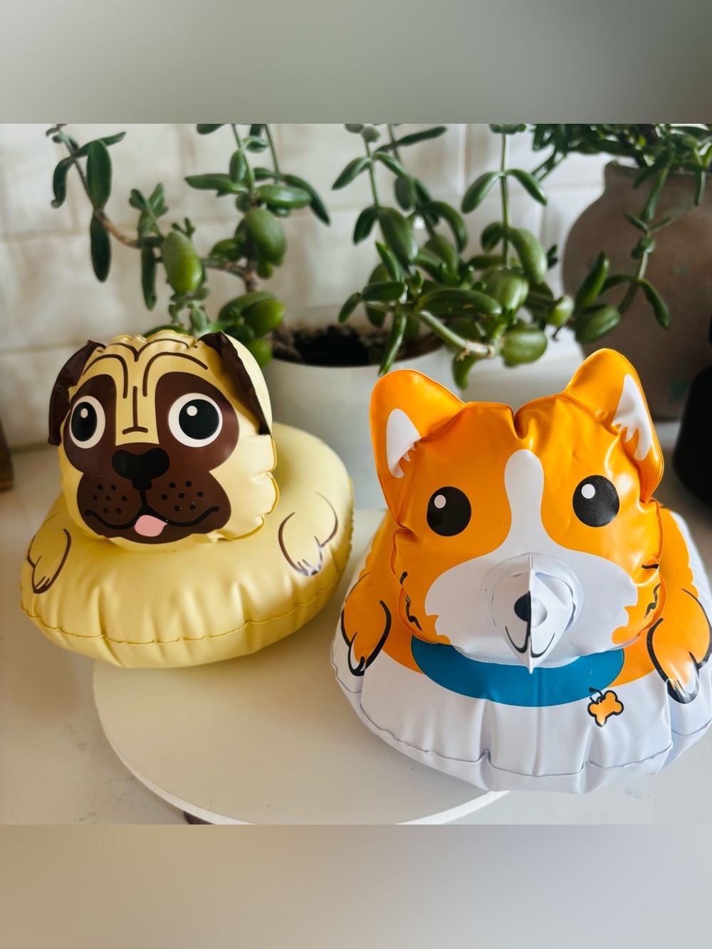 Floating Pool Dog Drink Holders🐾🐕🦮